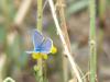 222374 – Photo : Florian ALONSO – France (21)